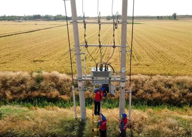 配電箱助力“電力?！报D農(nóng)民有了“電力?！碑a(chǎn)業(yè)發(fā)展質(zhì)效