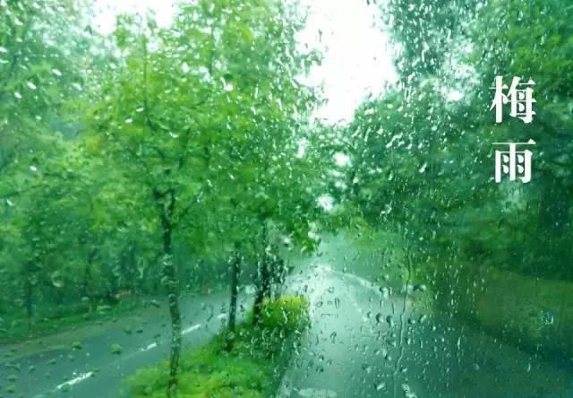 梅雨季節(jié)，如何解決配電箱回潮？給你支招